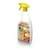 EDIALUX Colzasect Spray Groenten En Fruit 3 EDIALUX Colzasect Spray Groenten En Fruit -EDIALUX Winkel 1613746731 1 600