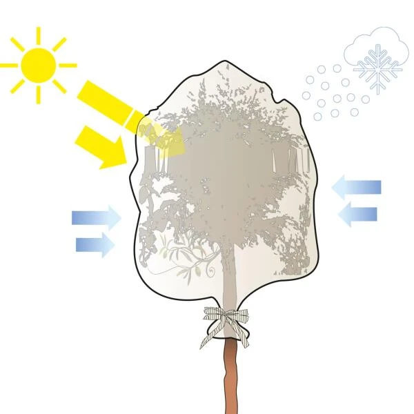 Thermobeschermhoes Q-Extreme XXL Voor Planten - 300 × 200 Cm 4 Thermobeschermhoes Q-Extreme XXL Voor Planten - 300 × 200 Cm - Afbeelding 4