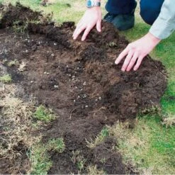 DCM Heteri-Guard - Aaltjes Tegen Engerlingen In Gazon - Voor 10 M² -EDIALUX Winkel aaltjes tegen engerlingen 10 m 1664370204 2 600