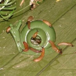 ESSCHERT DESIGN Slakkenval Keramiek - Groen 5 ESSCHERT DESIGN Slakkenval Keramiek - Groen -EDIALUX Winkel actie super slakkenval 1484052737 1 600