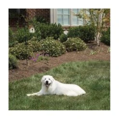 Pet Safe Outdoor Anti-blafhuisje 8 Pet Safe Outdoor Anti-blafhuisje -EDIALUX Winkel antiblafhuisje 1484054468 4 600