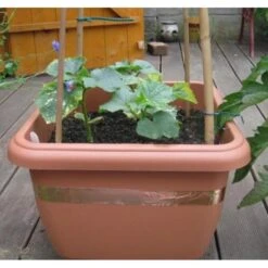 Anti-slakken Kopertape 4 M 8 Anti-slakken Kopertape 4 M -EDIALUX Winkel antislakken kopertape 1484052941 3 600