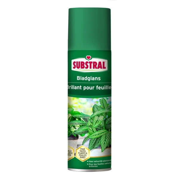 Substral Bladglans 250 Ml 1 Substral Bladglans 250 Ml