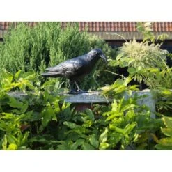 EDIALUX Winkel -EDIALUX Winkel duivenverjager kraai 1484053985 2 600