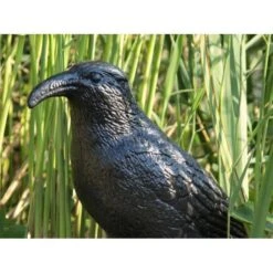 Duivenverjager Kraai 7 Duivenverjager Kraai -EDIALUX Winkel duivenverjager kraai 1484053985 3 600