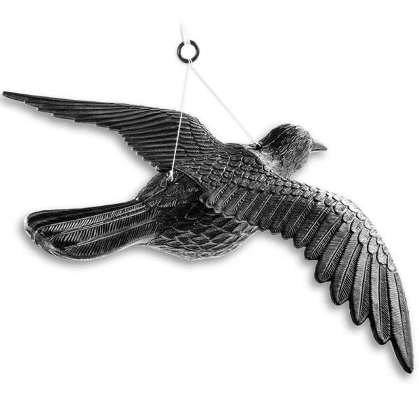 Duivenverjager Vliegende Raaf 6 Duivenverjager Vliegende Raaf - Afbeelding 6