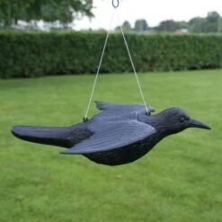 Duivenverjager Vliegende Raaf