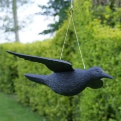 Duivenverjager Vliegende Raaf 7 Duivenverjager Vliegende Raaf -EDIALUX Winkel duivenverjager vliegende kraai 1495118313 1 600