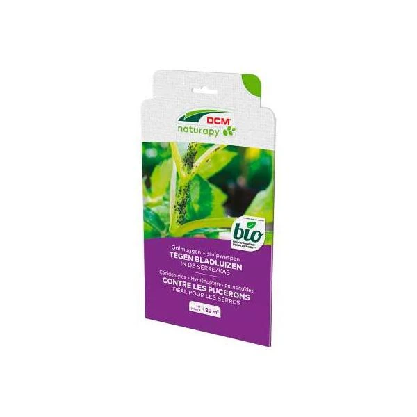 DCM Aphidi-Guard - Galmuggen En Sluipwespen Tegen Bladluizen - 20 M² 1 DCM Aphidi-Guard - Galmuggen En Sluipwespen Tegen Bladluizen - 20 M²