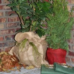 Jutezak - Naturel - 60 × 80 Cm 7 Jutezak - Naturel - 60 × 80 Cm -EDIALUX Winkel jutezak 60 x 80 naturel 1486635322 0 600