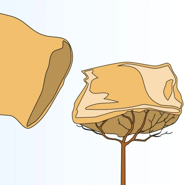 Jutezak - Grijs - 60 × 80 Cm 2 Jutezak - Grijs - 60 × 80 Cm - Afbeelding 2