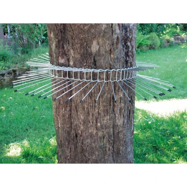 Kattenafweer Boomgordel Tot Boomomtrek 115 Cm 1 Kattenafweer Boomgordel Tot Boomomtrek 115 Cm
