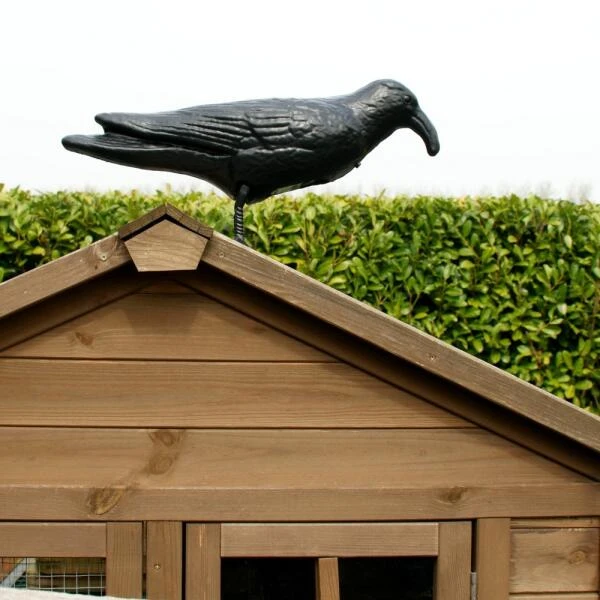 Duivenverjager Kraai Roepend 2 Duivenverjager Kraai Roepend - Afbeelding 2