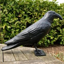 Duivenverjager Kraai Roepend 7 Duivenverjager Kraai Roepend -EDIALUX Winkel kraai met geluid 1523289337 4 600