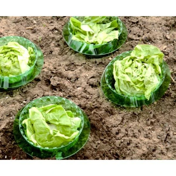 Slakken Beschermringen - Set Van 6 Stuks 2 Slakken Beschermringen - Set Van 6 Stuks - Afbeelding 2