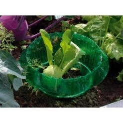 Slakken Beschermringen - Set Van 6 Stuks 5 Slakken Beschermringen - Set Van 6 Stuks -EDIALUX Winkel slakken beschermingsringen 1484053655 3 600