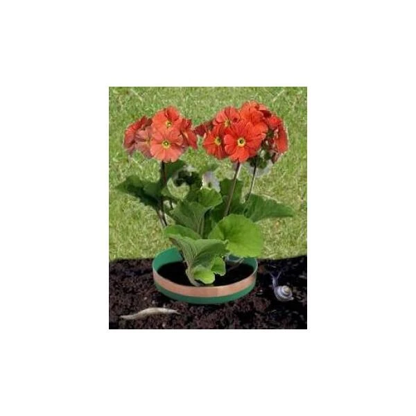 Anti-slakkenringen Met Kopertape 2 Anti-slakkenringen Met Kopertape - Afbeelding 2