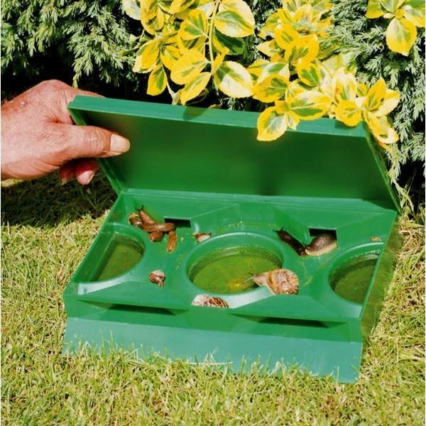 Slakkenval Groot 1 Slakkenval Groot