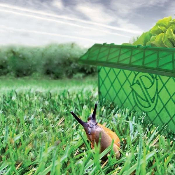 Slakkenweringsmuur 2 M + Slakkentang 1 Slakkenweringsmuur 2 M + Slakkentang