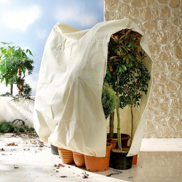 Thermobeschermhoes Jumbo Voor Planten - 240 × 200 Cm 2 Thermobeschermhoes Jumbo Voor Planten - 240 × 200 Cm - Afbeelding 2