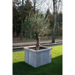 Thermobeschermhoes Jumbo Voor Planten - 240 × 200 Cm 8 Thermobeschermhoes Jumbo Voor Planten - 240 × 200 Cm -EDIALUX Winkel thermovorsthoes 240 x 200cm 1484053216 3 600