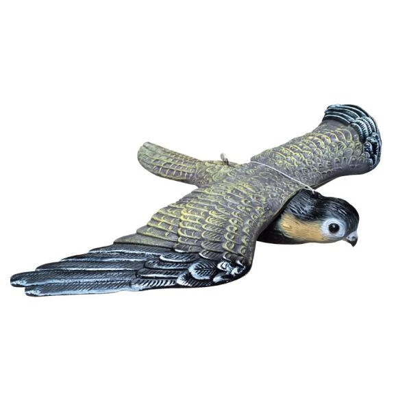Vliegende Slechtvalk - Vogelverschrikker 1 Vliegende Slechtvalk - Vogelverschrikker