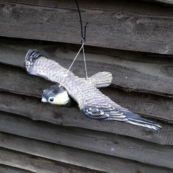 Vliegende Slechtvalk - Vogelverschrikker 3 Vliegende Slechtvalk - Vogelverschrikker - Afbeelding 3