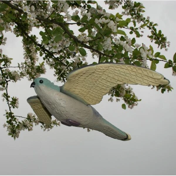 Torenvalk Als Vogelschrik 2 Torenvalk Als Vogelschrik - Afbeelding 2