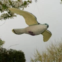 Torenvalk Als Vogelschrik 6 Torenvalk Als Vogelschrik -EDIALUX Winkel vogelverjager torenvalk 1492582163 2 600