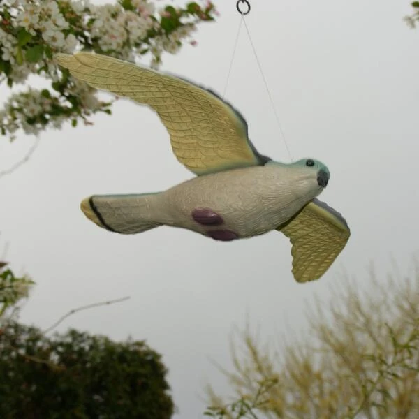 Torenvalk Als Vogelschrik 3 Torenvalk Als Vogelschrik - Afbeelding 3