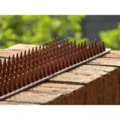 Afweerpinnen Strip Vogels, Katten,... - Bruin -EDIALUX Winkel vogelwering met afweerpinnen 50 cm 1484056943 3 600