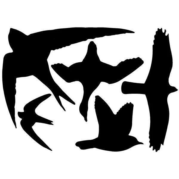 ESSCHERT DESIGN Vogelwering Stickervel Met 5 Vogelsilhouetten 1 ESSCHERT DESIGN Vogelwering Stickervel Met 5 Vogelsilhouetten