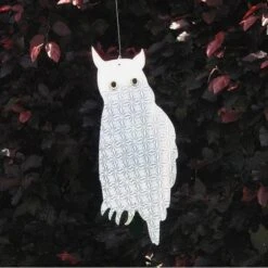 Weringsuilen Hologram - Set Van 6 Stuks 3 Weringsuilen Hologram - Set Van 6 Stuks -EDIALUX Winkel weringsuilen hologram 1484053854 2 600