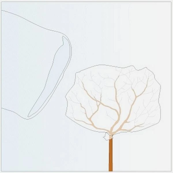 Rozen Winterhoezen - Groen - Set Van 2 Stuks 2 Rozen Winterhoezen - Groen - Set Van 2 Stuks - Afbeelding 2