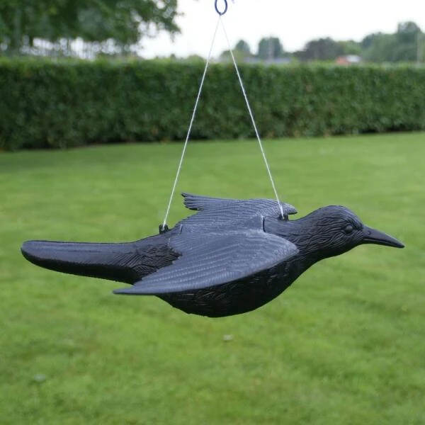 EDIALUX Winkel -EDIALUX Winkel duivenverjager vliegende kraai 1495117718 1 600