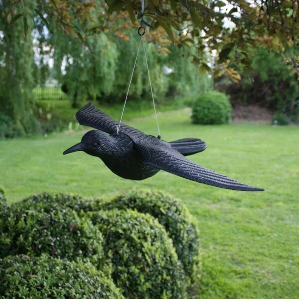 EDIALUX Winkel -EDIALUX Winkel duivenverjager vliegende kraai 1495118460 1 600