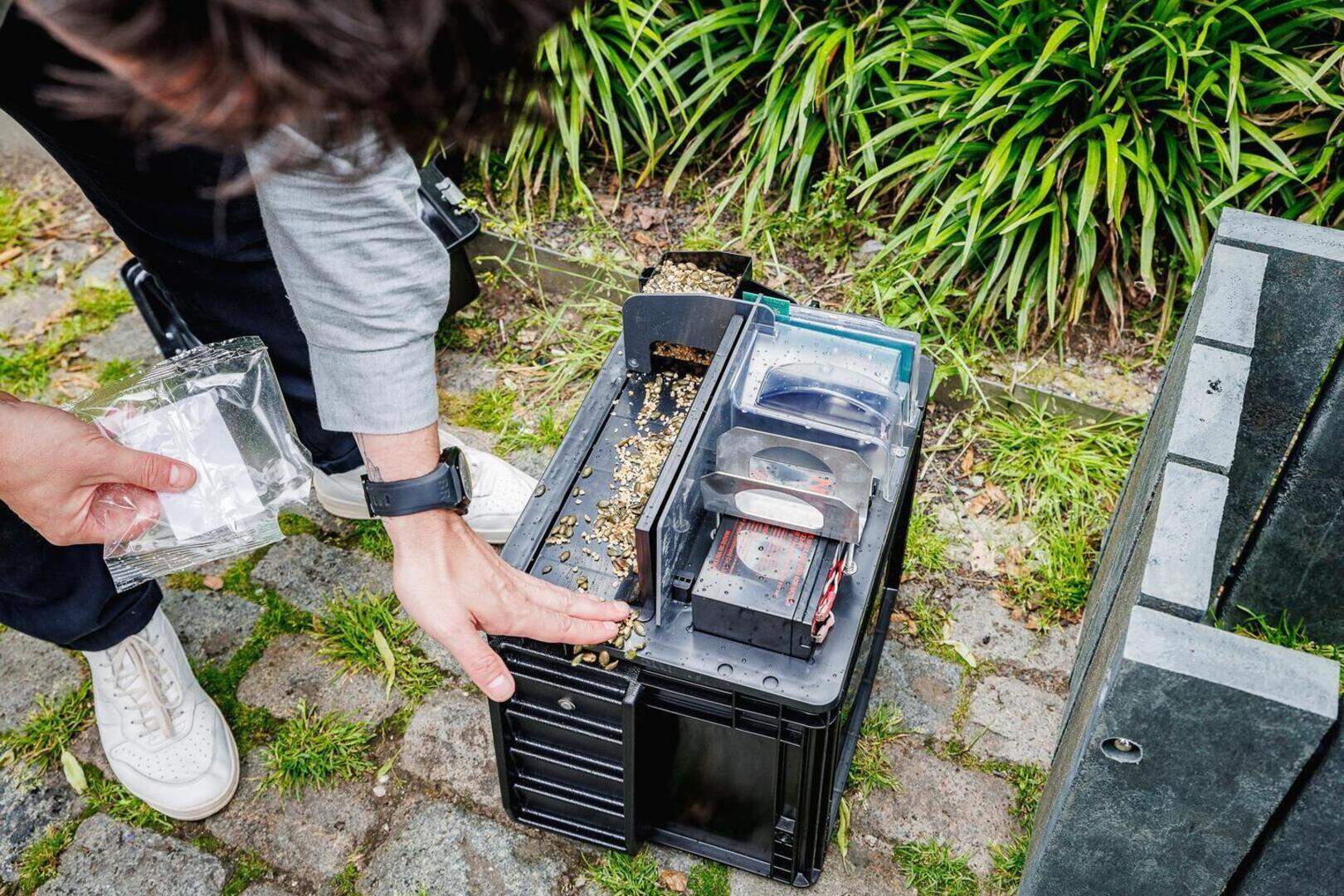 EDIALUX Winkel -EDIALUX Winkel rattenval dv