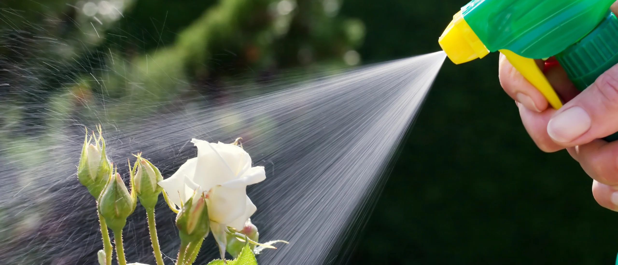 EDIALUX Winkel -EDIALUX Winkel schimmel bestrijden zo bestrijd je schimmels 2560x1100 1